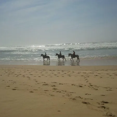 La Pinede Oceane,400m Des Plages *