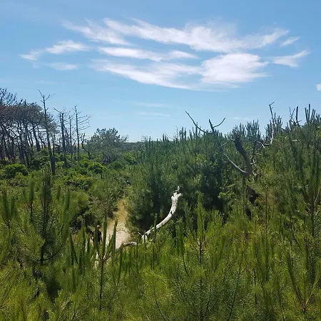Lägenhet La Pinede Oceane,400m Des Plages *
