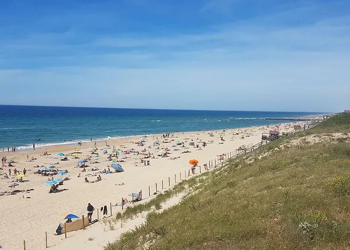 La Pinede Oceane,400m Des Plages Apartamento