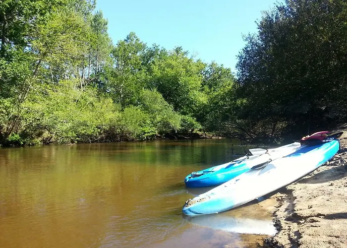 Daire La Pinede Oceane,400m Des Plages