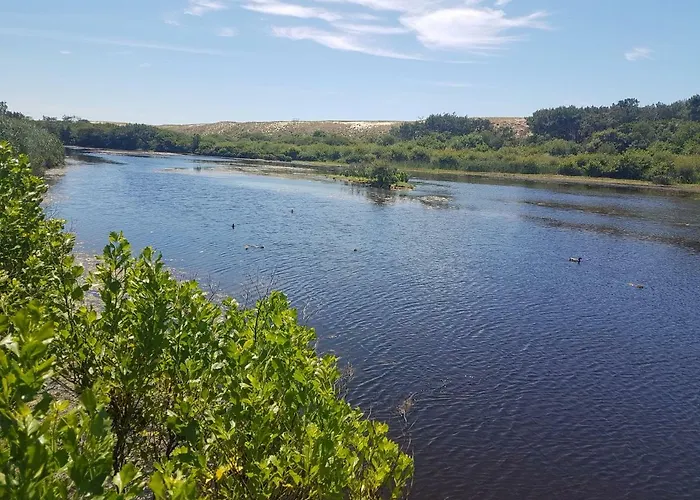 La Pinede Oceane,400m Des Plages Daire