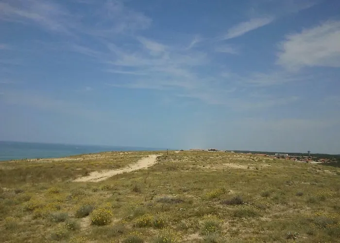 La Pinede Oceane,400m Des Plages Apartamento *