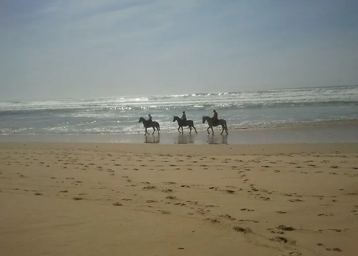 La Pinede Oceane,400m Des Plages *